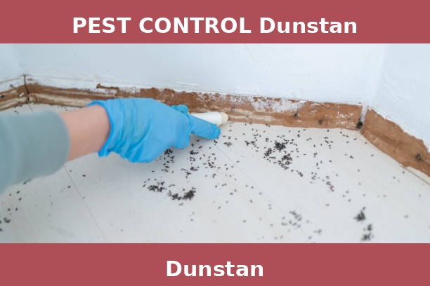 PEST CONTROL Dunstan